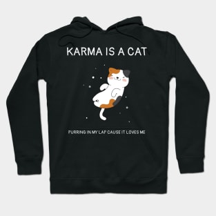 Karma is Cat Funny Hoodie